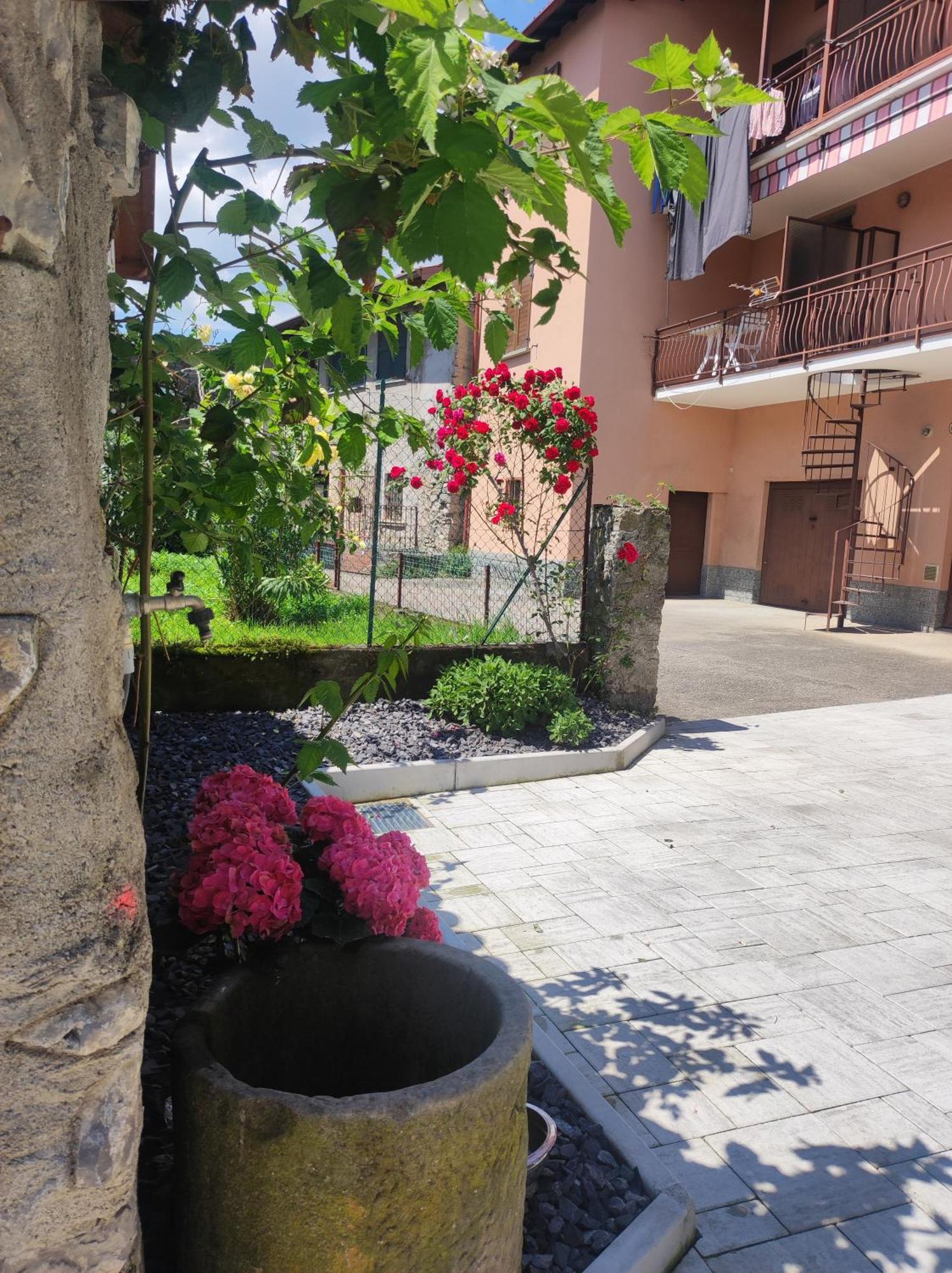 Luminoso Appartamento Vista Lago Solto Collina Exterior foto
